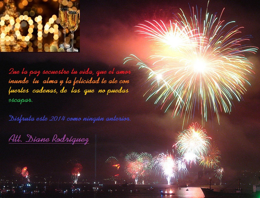 Feliz año nuevo 2014 por parte de Diane Rodríguez GLBTI LGBTI TILGB 2013
