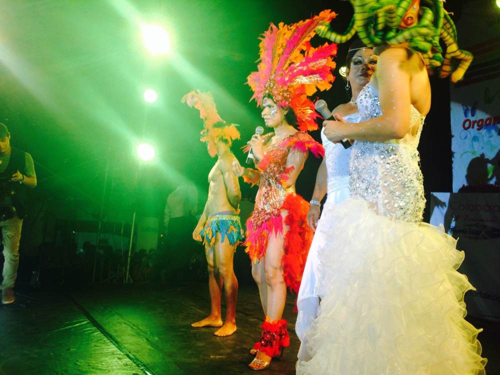 Orgullo y diversidad sexual 2014 - orgullo glbti - orgullo gay guayaquil - asociación silueta x con Diane Marie Rodríguez Zambrano  (22)