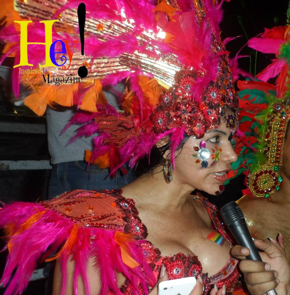 Orgullo y diversidad sexual 2014 - orgullo glbti - orgullo gay guayaquil - asociación silueta x con Diane Marie Rodríguez Zambrano  (5)