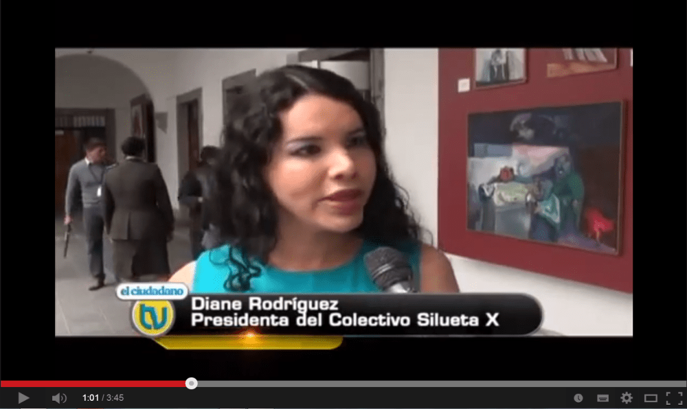 Grupos GLBTI viven cambios fundamentales en defensas de sus derechos-SiluetaX