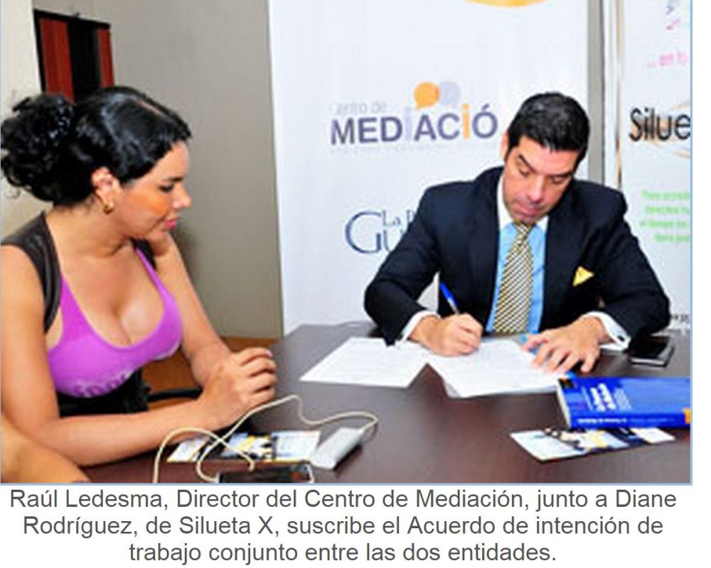 Centro de Mediación acogerá quejas de organizaciones TILGB-Siluetax_DianeRodriguez