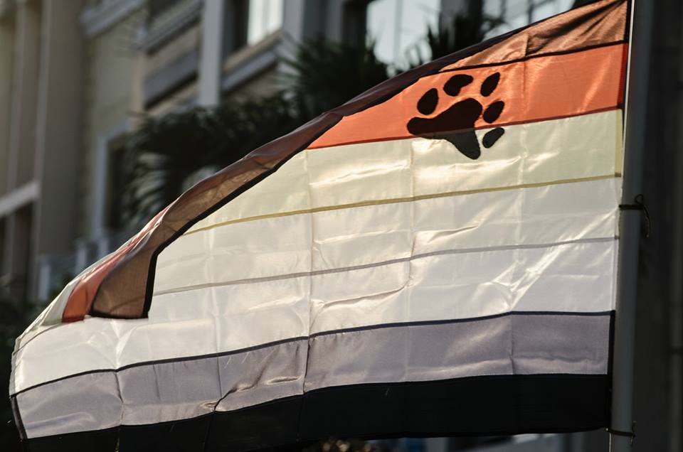 Orgullo LGBT Gay Ecuador Guayaquil 2015 - Asociación Silueta X (146)