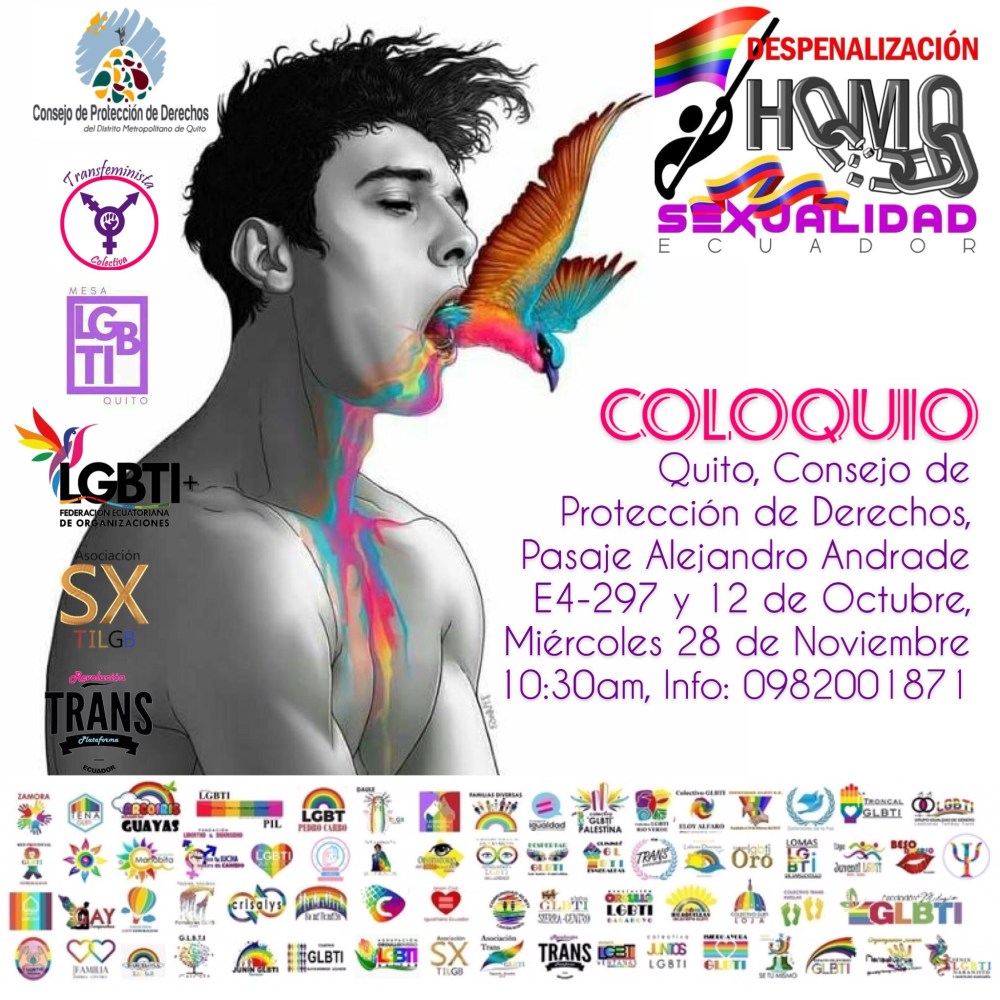 21 años de la despenalizacion de la homosexualidad- Asociacion silueta x- Federacion ecuatoriana de organizaciones lgbt- Plataforma Revolucion Trans- colectiva transfeminista.jpg